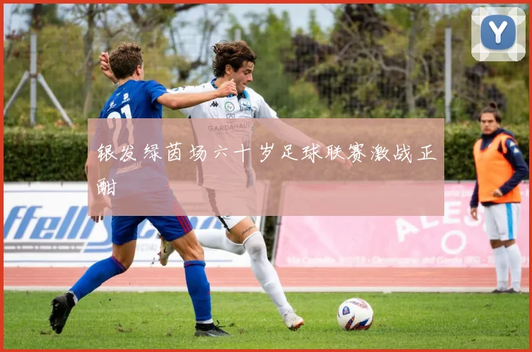 银发绿茵场六十岁足球联赛激战正酣