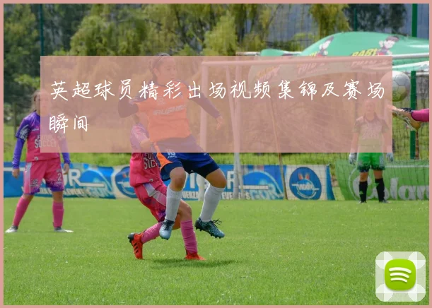 英超球员精彩出场视频集锦及赛场瞬间