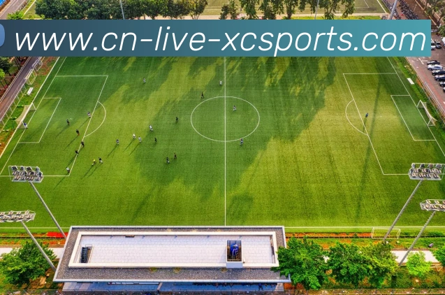 杏彩体育平台生态图