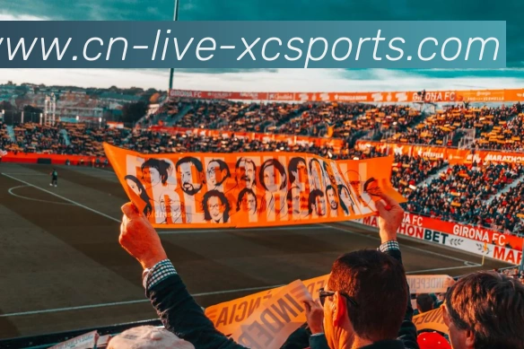 杏彩体育APP 封面图